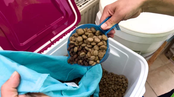 Beim Magdeburger Tieranker e.V. erh&auml;lt jeder Tierhalter f&uuml;r seinen Hund oder seine Katze eine bestimmte Menge Trocken- und Nassfutter. - &copy; Paul Damm/-/dpa