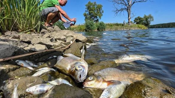 - &copy; Patrick Pleul/dpa