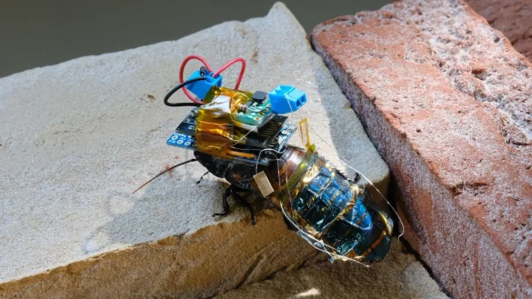 - &copy; Kenjiro Fukuda/RIKEN/dpa