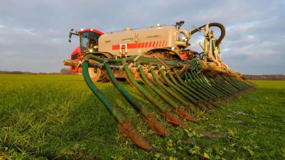 - &copy; Philipp Schulze/dpa