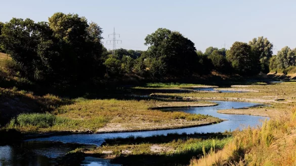 - &copy; Rolf Vennenbernd/dpa