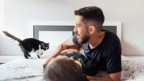 Wenn Frauchen oder Herrchen einen neuen Partner hat, kann das f&uuml;r die Katze zum Albtraum werden. - &copy; Sr.Stocker/Westend61/dpa-tmn