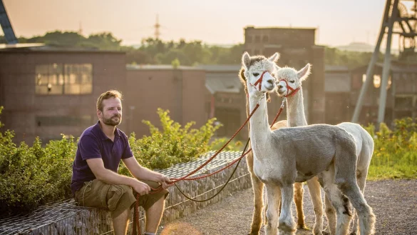 - &copy; K. Andreas/321schnappschuss/Daniel&acute;s kleine Farm/dpa-tmn