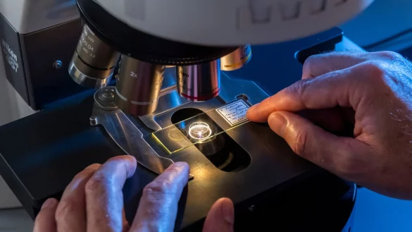 - © Matthias Rietschel/dpa-tmn