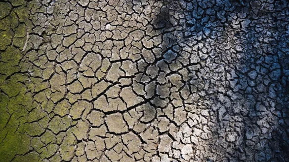 - &copy; Nicolas Armer/dpa