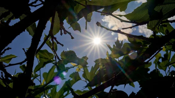 &Uuml;ber Temperaturen um die 30 Grad kann sich vor allem der S&uuml;den in den kommenden Tagen freuen. (Archivbild) - &copy; Sascha Ditscher/dpa