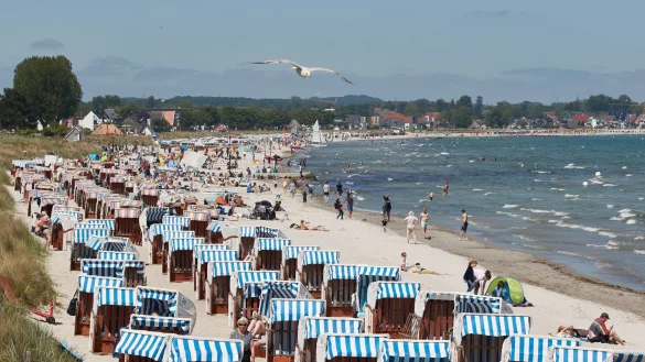 Die neue Woche verspricht Badewetter in Deutschland. - © Georg Wendt/dpa