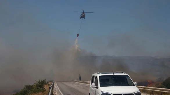 Ein Waldbrand Anfang Juli in der Provinz Izmir (Archivbild) - &copy; Cengiz Malgir/DIA Photo/AP/dpa