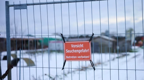 &bdquo;Vorsicht Seuchengefahr!&ldquo; steht auf einem Schild an einem Betrieb in Mehrow. Zum Schutz vor einer m&ouml;glichen Ausbreitung der Maul- und Klauenseuche sollen am Vormittag vorsorglich rund 200 Schweine im brandenburgischen Landkreis Barnim get&ouml;tet werden. Nun hat S&uuml;dkorea Schweinefleischimporte aus Deutschland verboten. - &copy; Annette Riedl/dpa