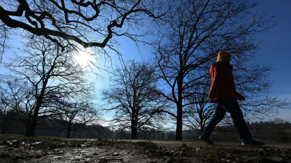Der zu Ende gehende Winter war mild und trocken. (Archivbild) - © Bernd Weißbrod/dpa
