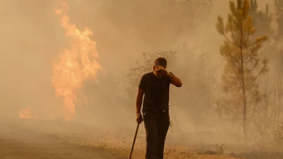 Das extrem heiße Wetter, die zusätzliche Gluthitze der Brände und der viele Rauch bringt die Brandbekämpfer an den Rand ihrer Kräfte. - © Lalo R. Villar/AP/dpa