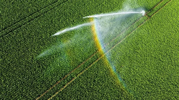 Bis zum Mittwoch steigen die Temperaturen in Deutschland. - © Julian Stratenschulte/dpa