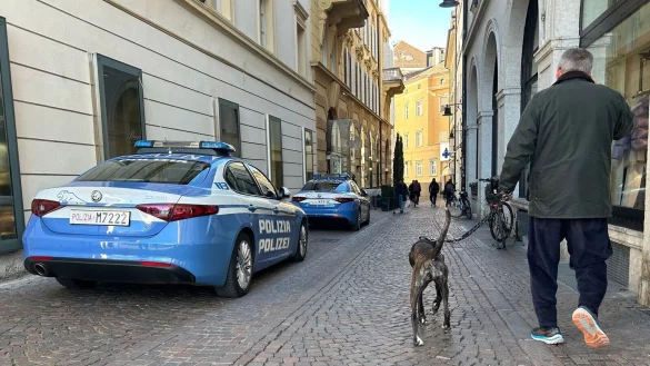S&uuml;dtirol will k&uuml;nftig von Hundehaltern eine Art Kurtaxe f&uuml;r ihre Vierbeiner verlangen. (Symbolbild) - &copy; Christoph Sator/dpa