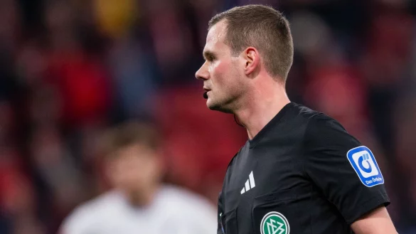 Schiedsrichter Robin Braun sorgte in der Partie zwischen Leverkusen und Hoffenheim für eine Premiere. - © Marius Becker/dpa