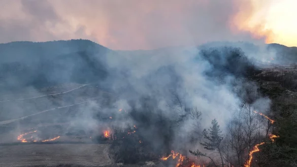 Mindestens vier Menschen sind beim Einsatz gegen Waldbrände in Südkorea ums Leben gekommen. - © Yoon Gwan-shick/Yonhap/AP/dpa