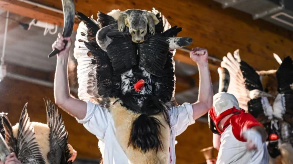 Zum Klaasohm-Fest auf Borkum geh&ouml;rte bis zum vergangenen Jahr das Schlagen von Frauen mit Kuhh&ouml;rnern. (Archivbild) - &copy; Lars Penning/dpa