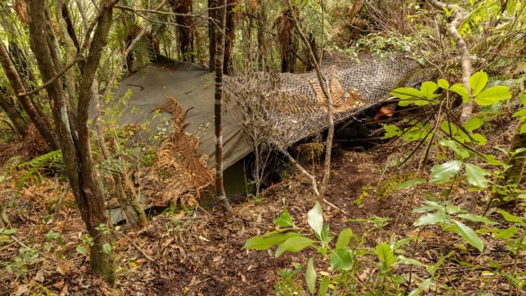 Das Hauptlager wurde in einem dichten Wald auf der Nordinsel entdeckt. - &copy; NZ Police/dpa