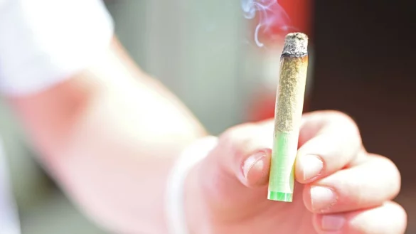 Junge Erwachsene greifen einer neuen Studie zufolge h&auml;ufiger zu Cannabis als fr&uuml;her. (Illustration) - &copy; Michael Brandt/dpa