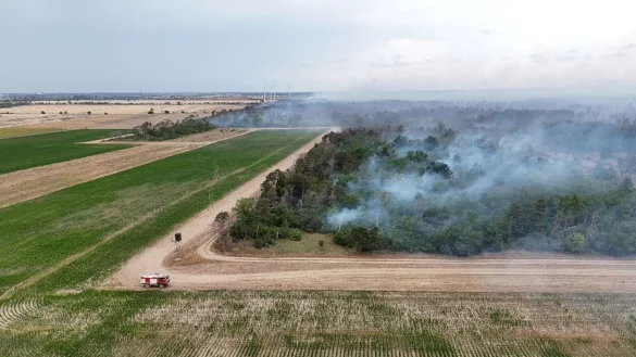 Wegen des Waldbrands in der Gohrischheide wurde Katastrophenalarm ausgelöst. - © Sebastian Kahnert/dpa