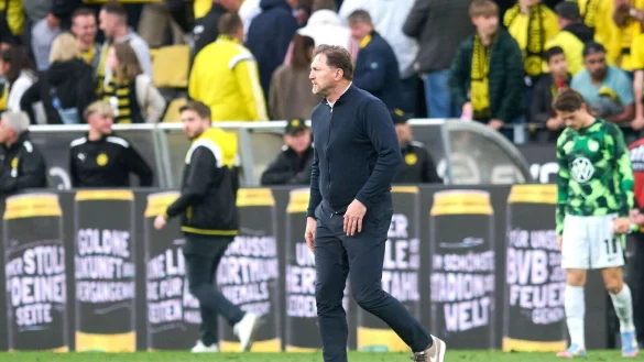 Wolfsburgs Trainer Hasenhüttl muss im Sommer wohl gehen. - © Bernd Thissen/dpa