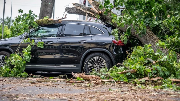 In Berlin führte jüngst ein Sturm zu zahlreichen Schäden. Eine Frau starb. - © Michael Kappeler/dpa