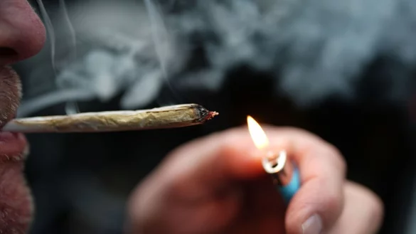 Cannabis zum Eigenkonsum ist seit einem Jahr für Erwachsene erlaubt. (Archivbild) - © Marcus Brandt/dpa