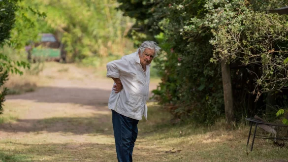 Der fr&uuml;here Pr&auml;sident z&uuml;chtete auf seiner Farm in der N&auml;he von Montevideo Blumen. (Archivbild) - &copy; Matilde Campodonico/AP/dpa