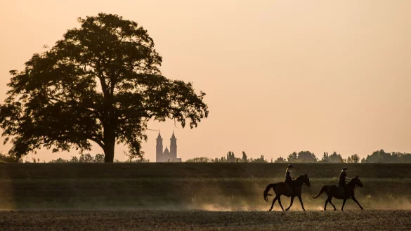 Rauch aus Kanada kann die Luft trüb wirken lassen und zu spektakulären Sonnenuntergängen führen. (Illustration) - © picture alliance / dpa