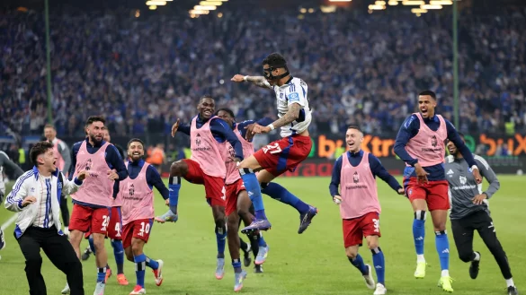 Hamburgs Davie Selke (M) jubelt über sein Tor zum 3:1. - © Christian Charisius/dpa