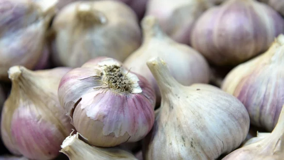 Spanien, China, &Auml;gypten: In den wenigsten F&auml;llen kommt Knoblauch aus Deutschland. - &copy; Andrea Warnecke/dpa-tmn