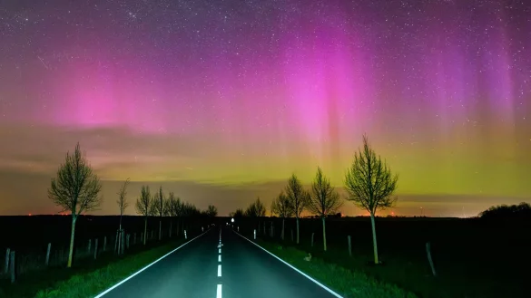 Seltenes Naturschauspiel: In der vergangenen Nacht waren Polarlichter &uuml;ber Teilen von Brandenburg zu sehen. - &copy; Patrick Pleul/dpa
