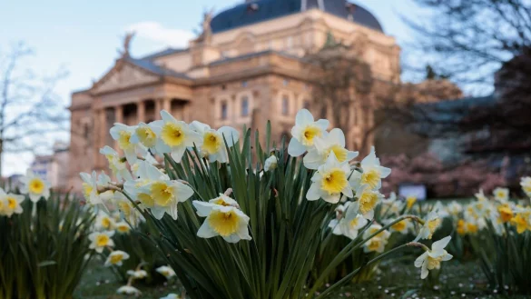 Temperaturen bis zu 18 Grad erwartet der Wetterdienst in den kommenden Tagen. - © Jörg Halisch/dpa