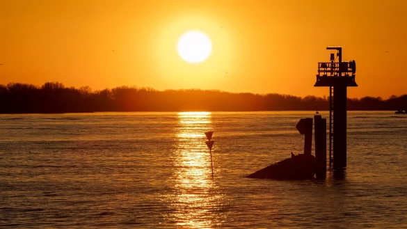 Willkommen im Frühling: Am Donnerstag ist es bei Sonnenschein soweit. - © Bodo Marks/dpa