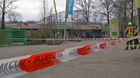 Weil der Zünder nicht entfernt werden kann, musste eine Fliegerbombe am Allwetterzoo kontrolliert gesprengt werden. - © Stadt Münster/Amt für Kommunikation/dpa