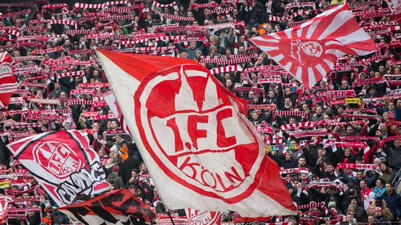 Zweitligist K&ouml;ln stellt sich im Scouting neu auf. - &copy; picture alliance / dpa