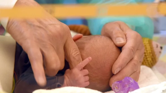 In einer Geburtsklinik hält ein erst wenige Stunden altes Baby den Finger seiner Mutter fest. (Symbolbild) - © Waltraud Grubitzsch/dpa