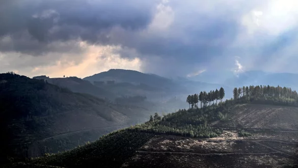 Das Sauerland ist besonders reich an Sagen und Legenden. Zu den mythischen Figuren der Region z&auml;hlen die im Berg und unter der Erde lebenden &laquo;Hollen&raquo; (Archivbild). - &copy; Federico Gambarini/dpa