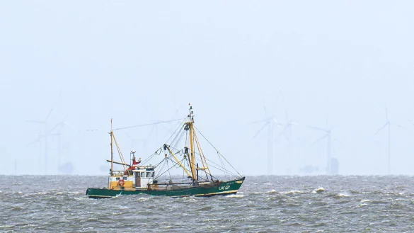 Krabbenfischer verlieren vor Gericht (Foto-aktuell). - &copy; Sina Schuldt/dpa