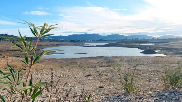 D&uuml;rre geh&ouml;rt zu den Folgen des Klimawandels. (Archivbild) - &copy; Mirjam Schmitt/dpa