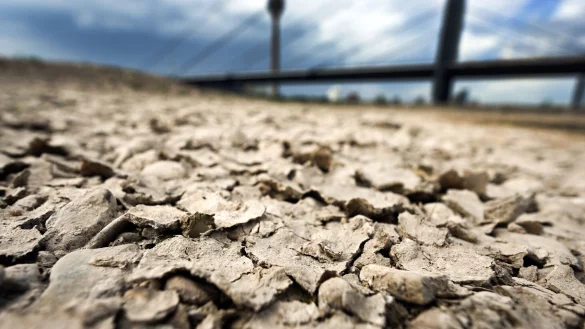 Der Mai war der zweitwärmste, der bisher gemessen wurde (Archivbild). - © Federico Gambarini/dpa