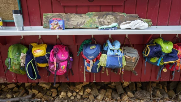 Laut Umfrage unter Kitaleitungen erschweren mehrere Faktoren eine Natur-Bildung der Jüngsten. (Symbolbild) - © Frank Rumpenhorst/dpa