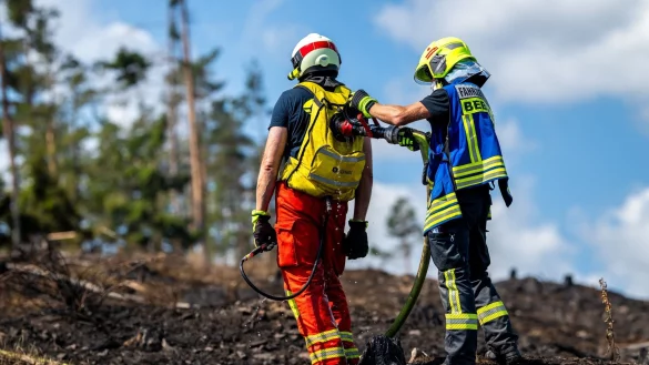 Mit Löschrucksäcken gehen die Feuerwehrleute etwa gegen Glutnester vor. - © Jacob Schröter/dpa