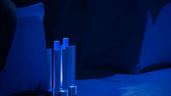 Zwei der begehrten Trophäen beim Deutschen Computerspielpreis. (Archivbild) - © Hannes P Albert/dpa