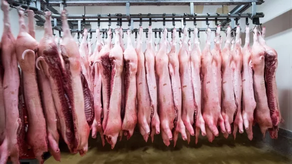 China erschwert mit Zöllen den Import von Schweinefleisch aus der EU. (Symbolbild) - © Christian Charisius/dpa