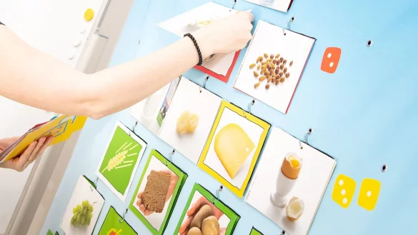 Krankenkassen f&ouml;rdern Ern&auml;hrungsberatungen meist finanziell, obwohl sie keine Pflichtleistungen sind. - &copy; Zacharie Scheurer/dpa-tmn