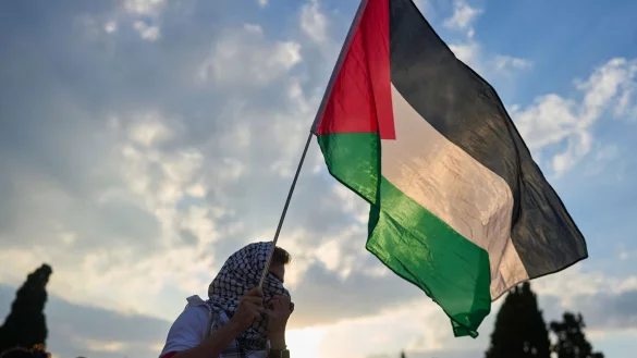 Ein Demonstrant schwenkt eine pal&auml;stinensische Flagge w&auml;hrend einer Demonstration vor dem griechischen Parlament. (Archivbild) - &copy; Petros Giannakouris/AP/dpa