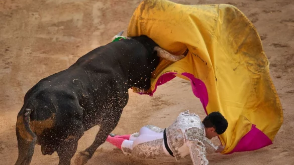 Stierkampf ist in Spanien ein gesch&uuml;tztes Kulturgut. (Archivbild) - &copy; Miguel Oses/AP/dpa