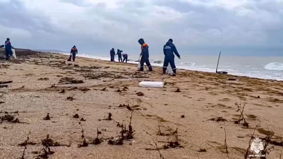 Die Ölpest führt dazu, dass auch immer mehr Delfine verenden. (Archivfoto) - © Uncredited/Russian Emergency Ministry Press Service/AP/dpa