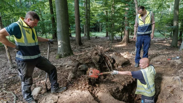 Arch&auml;ologen haben in Schleswig-Holstein statt der vermuteten Raubgrabung eine Gefechtsstellung der Bundeswehr ausgegraben. - &copy; Markus Scholz/dpa