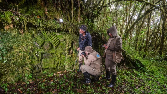 Die Chachapoya errichteten in den Nebelw&auml;ldern urbane Zentren und rituelle St&auml;tten. - &copy; Heinz Plenge Pardo/World Monuments Fund/dpa